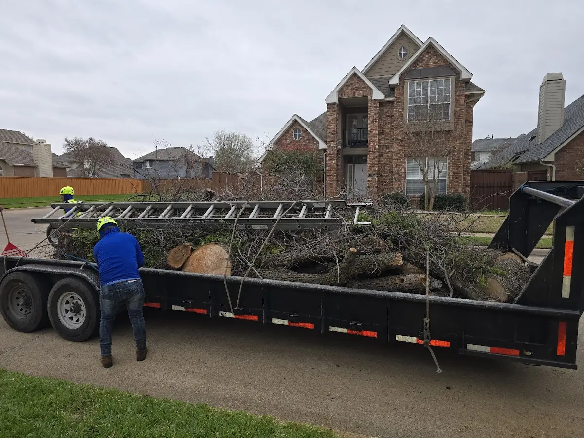 Expert Tree Fertilization with proper safety equipment in Mosby